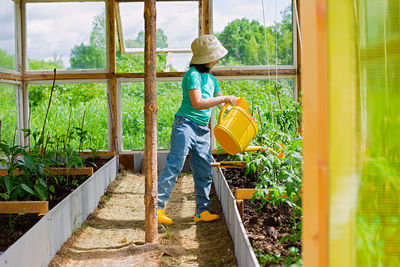 A one little girl waters with a yellow watering can, tomato bushes in greenhouse