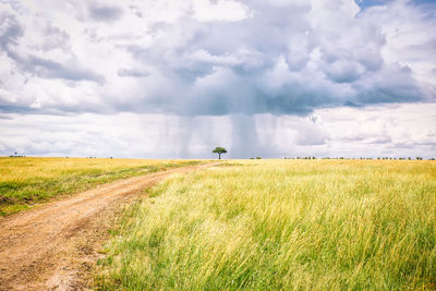 Scenic view of field against sky