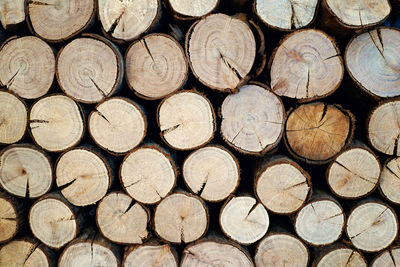 Full frame shot of logs