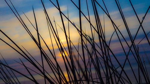Scenic view of landscape against sky at sunset