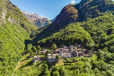 Trees and plants growing on mountain against sky