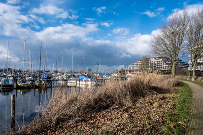 Sailboats moored at harbor against sky