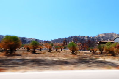 Surface level of landscape against clear blue sky