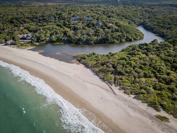 Aerial view of beach and trees