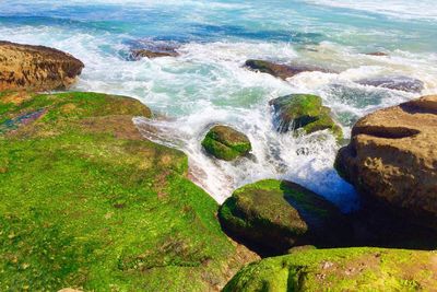 Scenic view of beach