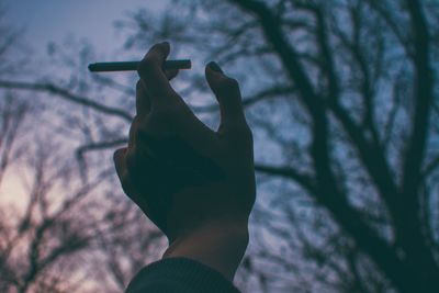 Person holding leaf against trees