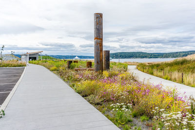 A shot of decorative metal pieces at dune peninsula park in tacoma, washington.