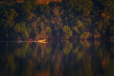 Scenic view of lake in forest during autumn