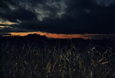 Scenic view of field against cloudy sky