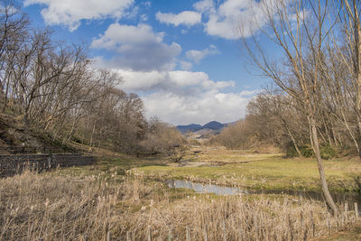 Scenic view of lake against sky