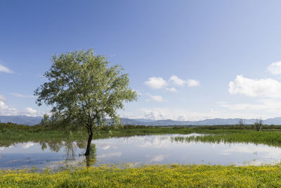 Scenic view of lake against sky