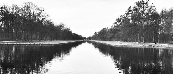 Trees along river