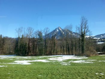 Scenic view of landscape against clear sky