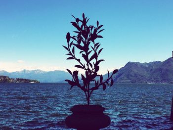 Scenic view of lake against mountains