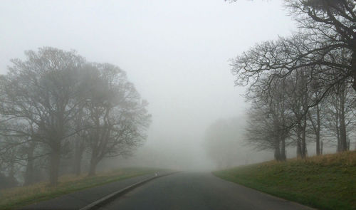 Empty road along bare trees in foggy weather
