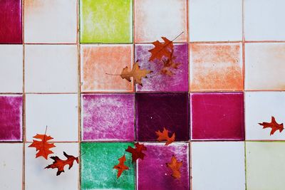 Close-up of maple leaves on floor against wall