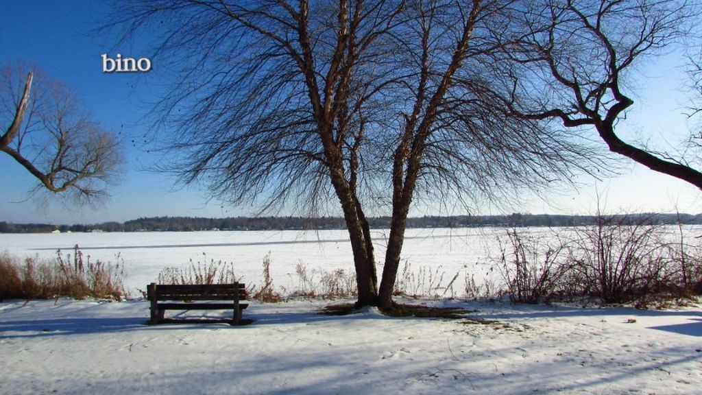 snow, cold temperature, winter, tree, bare tree, bench, seat, absence, nature, no people, tranquility, plant, branch, park bench, text, scenics - nature, land, day, frozen