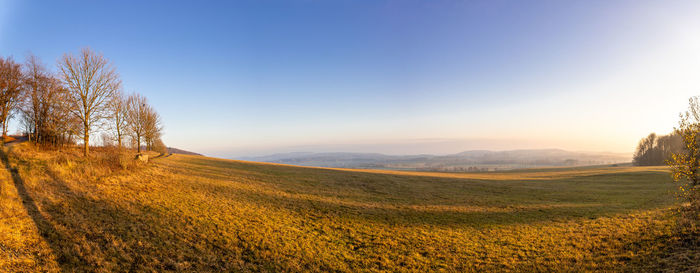 Scenic view of field against clear sky