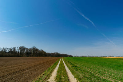 Scenic view of agricultural field against blue sky