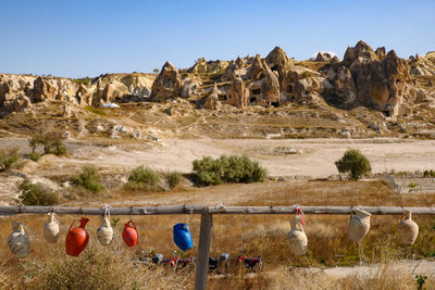 View of sheep on rock