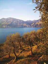 Scenic view of lake by mountains against sky