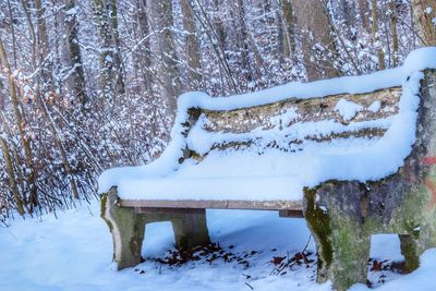 Snow covered park bench on field during winter