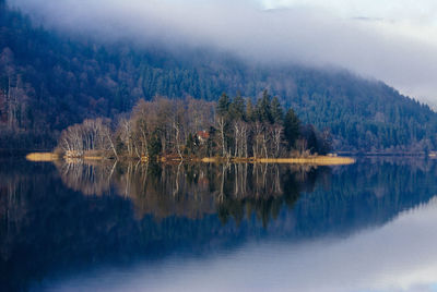 Scenic view of lake in forest against sky