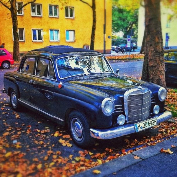 land vehicle, transportation, mode of transport, car, stationary, parked, street, parking, abandoned, metal, building exterior, outdoors, day, built structure, no people, old, obsolete, architecture, autumn, tree