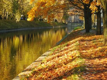 Scenic view of lake by trees during autumn