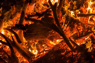 Full frame shot of burning tree at night