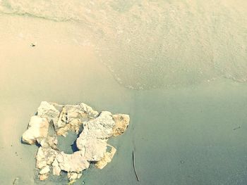 Scenic view of sea