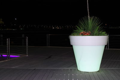 Potted plants at night