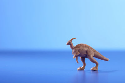 Dinosaur toy on blue table