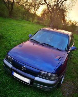 Close-up of car on grass