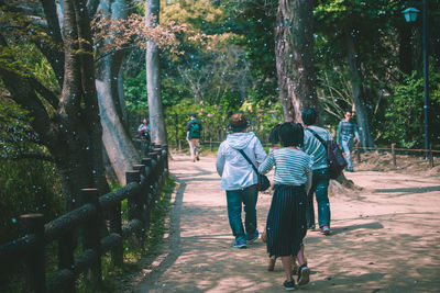 Rear view of people walking on walkway amidst trees