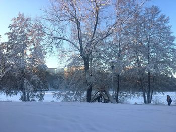 Trees on snow covered field against sky