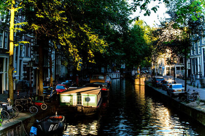Canal amidst trees in city