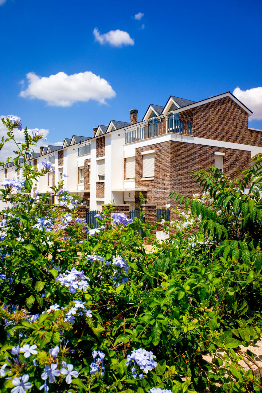 LOW ANGLE VIEW OF FLOWERING PLANTS BY BUILDING AGAINST SKY