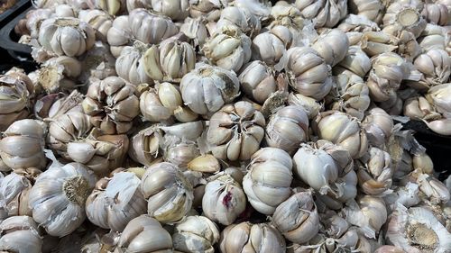 Full frame shot of seashells