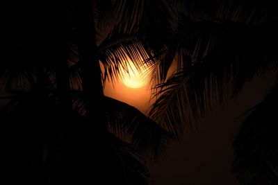 Low angle view of silhouette palm trees against sunset sky