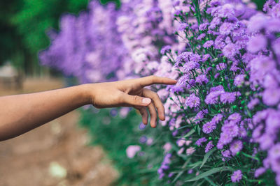 The scent of flowers smells like your scent.