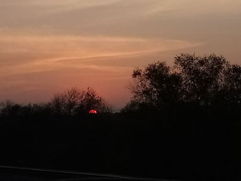 Silhouette trees against sky during sunset