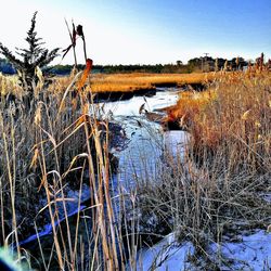 Scenic view of frozen lake against sky