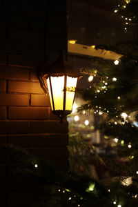 Low angle view of illuminated christmas tree at night