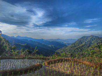 Scenic view of mountains against sky while eagle flying