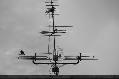 Low angle view of bird perching on cable against sky