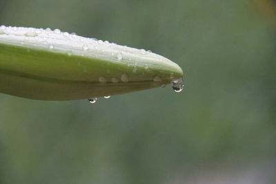 Close up of water