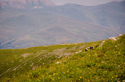 View of a field of a mountain range