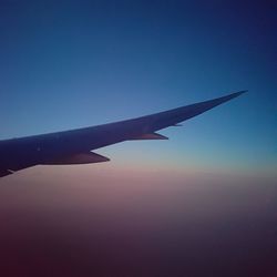 Close-up of tree against blue sky