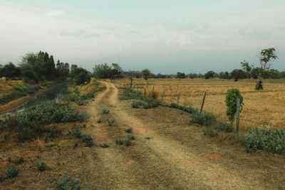 Scenic view of field against sky